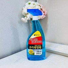 맑은하루유리세정제700ml, 700ml, 1개