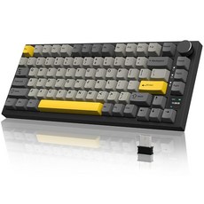 어택 샤크 재즈 AK820 75% 기계식 게이밍 키보드 노브 핫 스왑 가능 커스텀 개스킷 장착 USB-C 유선 흰색 LED PC / Win Mac용 빨간색 스위치 선형, 3-Mode Pro + Standard Cable, 6 Grey/Flying Fish Switch