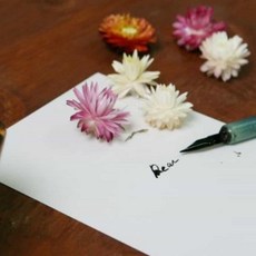 하우스픽 캘리그라피연습 디어 캘리그라퍼