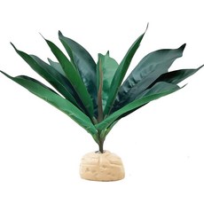 수염 용 도마뱀 카멜레온 양서류 서식지 테라리움 장식용 케루뎅 파충류 식물 장식 녹색 흰색, Green Watermelon Peperomia