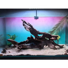 魚缸造景沉木 紫柚木 鏤空大薄片, 1個