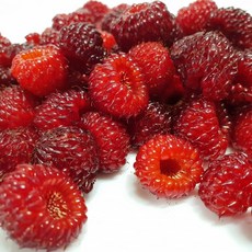 [꿀맛보장] 청도 청정지역 노지 생 산딸기, 3세트, 500g