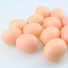모형계란 장난감 부활절 플라스틱인공계란 계란만들기, 인공계란BL03940, 에이콕 인공계란BL03940