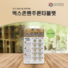 정화조 하수구 모기 유충약 벤주론타블렛 10알, 1개