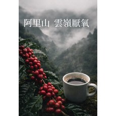阿里山 雲嶺咖啡 厭氧處理, 1個