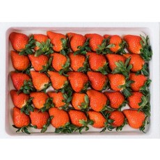 동명 아삭달콤 킹스베리 딸기 복숭아향 논산 생딸기, 350g 중과