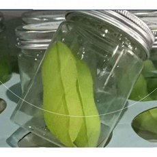 깔끔한 주방 완두콩 수세미 텀블러 물병 세척 2p