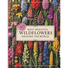 (영문도서)40 Most Beautiful Wildflowers Identification Guide Book: Wild Flower Photo Refer... Paperback, Independently Published, English, 9798262293544