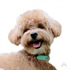 똑핀 똑딱핀 잔머리핀 딱핀 미니 고양이 머리핀 고정 털 2cm, 1개, 노랑