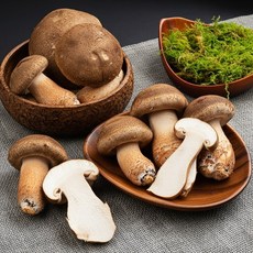 국산 산지직송 옵션별 송향버섯 송화버섯, 1개, 일품  1kg