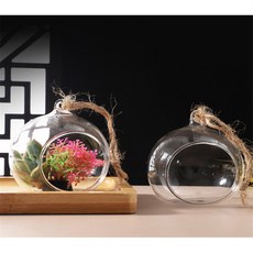 올데이픽 조립식 테라리움 투명볼 플랜테리어, 10cm