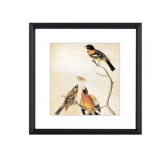 BKABOT 5x7 액자 세트 3개 황동 메탈 사진 HD 글래스 매트가 장착된 4x6 또는 매트 벽걸이 및 테이블 디스플레이가 없는 5x7에 맞습니다, Black