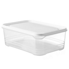 Tiger Pavilion 냉장고 정리 보관용기 2L, 1개, 화이트