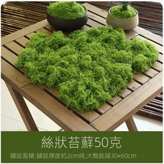 微景小舖 仿真苔蘚 微景觀裝飾材料, 1個, 淺綠色苔蘚/50克+/-1g, 淺綠色