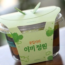 에이오티펀샵 양지이끼 습지식물