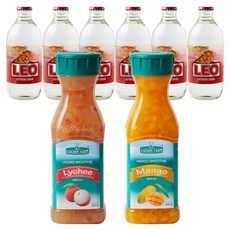 골든팜 과일청 에이드 패키지 리치 + 망고, 2개, 500ml