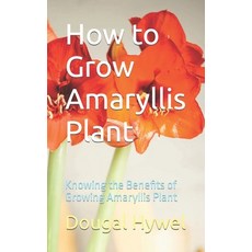 (영문도서) How to Grow Amaryllis Plant: Knowing the Benefits of Growing Amaryllis Plant Paperback, Independently Published, English, 9798870587707