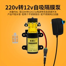 直流12V隔膜泵 農用噴霧器 洗車機淨水泵 溢壓自吸泵, 12v2.5a可調自吸大泵+扣濾無管