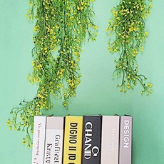 등나무 인테리어 노랑 소형 촬영 식물ver9+5thC