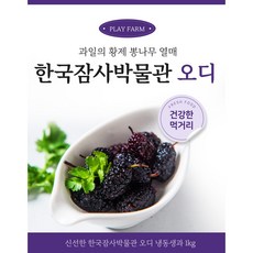[블랙푸드] 과일의 황제 뽕나무 열매 1kg, 1개