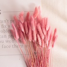 [데코봉봉] 짧은 라그라스 한 묶음 (핑크) 강아지풀 가을 인테리어 인조 갈대 억새, 1개, 핑크