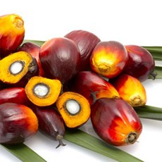 [아로마케이] 팜오일 팜유 1L 비누만들기 재료, 1개