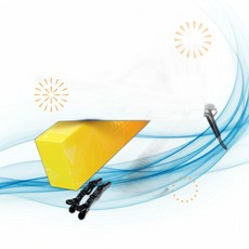 ANGENIL 판 고데기 프로페셔널 티타늄 플랫 아이언 1인치 헤어 스트레이트너 EM