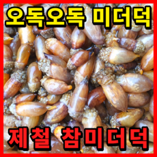 산지직송 진동 깐 미더덕 횟감용 활 생물 미더덕회, 1개, 500g