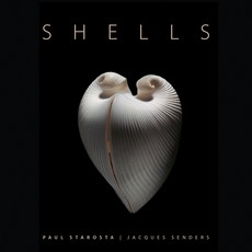 (영문도서) Shells Hardcover, 5 Continents Editions, English, 9791254600825