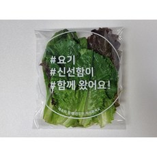 마이크로펀칭 채소봉투(소) 1000장 (190x235+M35+40mm), 1세트, 1000개입, 소(S)
