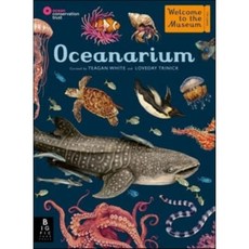 Oceanarium, Big Picture Press
