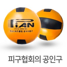 피안 스포츠클럽 공기주입형 피구공 4-2호, 1개