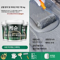 차열페인트 단열페인트 에폭시페인트, 1개, 1L, 1급 버전 발수 내마모 노화 시멘트그레이 60kg 12