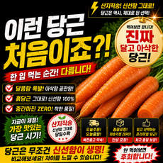 [산지직송] 국내산 흙당근 로얄특품 햇당근, 1개, 1kg (중)