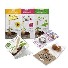 슬로시 허브 방울토마토 해바라기 씨드볼 깃발 씨앗 심기 식물 키우기, 씨드스푼(스위트바질)