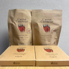 스킨푸드 캐롯 카로틴 카밍 워터 패드 30매 리필 x 2개 + 여행용패드 10매 x 2