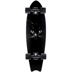 스케이트 보드 입문자 숏 연습용 초보자 짧은, 35