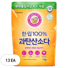 한입 100% 과탄산소다, 1kg, 13개