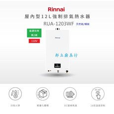 邦立廚具行 優惠 Rinnai 林內 RUA- 1203 WF 屋內 12L強制排氣熱水器 智慧控溫 分段火排 安裝, 桃園市含安裝