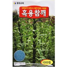 영농사 <흑용 참깨 씨앗 1000립> 코팅 흑참깨씨, 2개