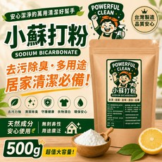 RL生活百貨 小蘇打清潔粉 馬桶清潔劑, 1個