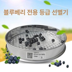 블루베리 채 크기 선별기 과일 매실 콩 스테인레스 선별