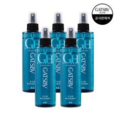 갸스비 그로스&하드 스타일링 미스트, 5개, 250ml
