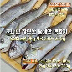 [산지직송] 국내산 자연산 남해 손질 백조기 2300g 손질후급냉 2000g(개댱 170~200g). 2000g(개당 120~140g). 2000g(개당 230~250g) 1스, 1박스, 손질후급냉 2000g (개댱 230~250g)