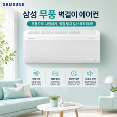 삼성 벽걸이에어컨 7평 인버터 가정용 원룸 냉방 기본형 가성비 상담후설치 AR60F07D12WS 2등급, 매립배관형, AR-60F07D12WS