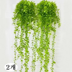공중식물 덩쿨 조화넝쿨식물 행잉플랜트 유칼립투스 벽걸이 장식, 2개, 그린