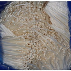 팽이버섯벌크 대용량팽이버섯 팽이버섯차 팽이버섯박스 버섯팽이 팽이버섯가루 팽이버섯2kg 국내산팽이버섯 2kg 4kg, 1개, 2kg