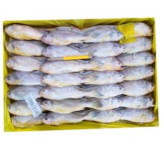 조은상사 냉동 참조기61-63마리 3.5kg 1박스 62미내외 조기, 참조기61-63 3.5kg