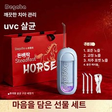 셀렉트하루 휴대용 전동치실 구강세정기 워터플로서, 1개, 뉴 이어 한정 블루