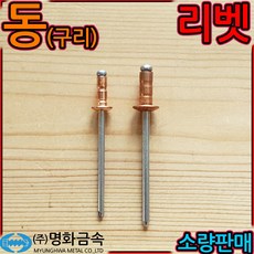 동 구리 신주 cu 리벳 리벳못 리벳트 리베트 배관 블라인드 둥근 체결 접합 3.2x8, 3-1 삼각 갈라짐 리벳, 4.8x25mm-6개